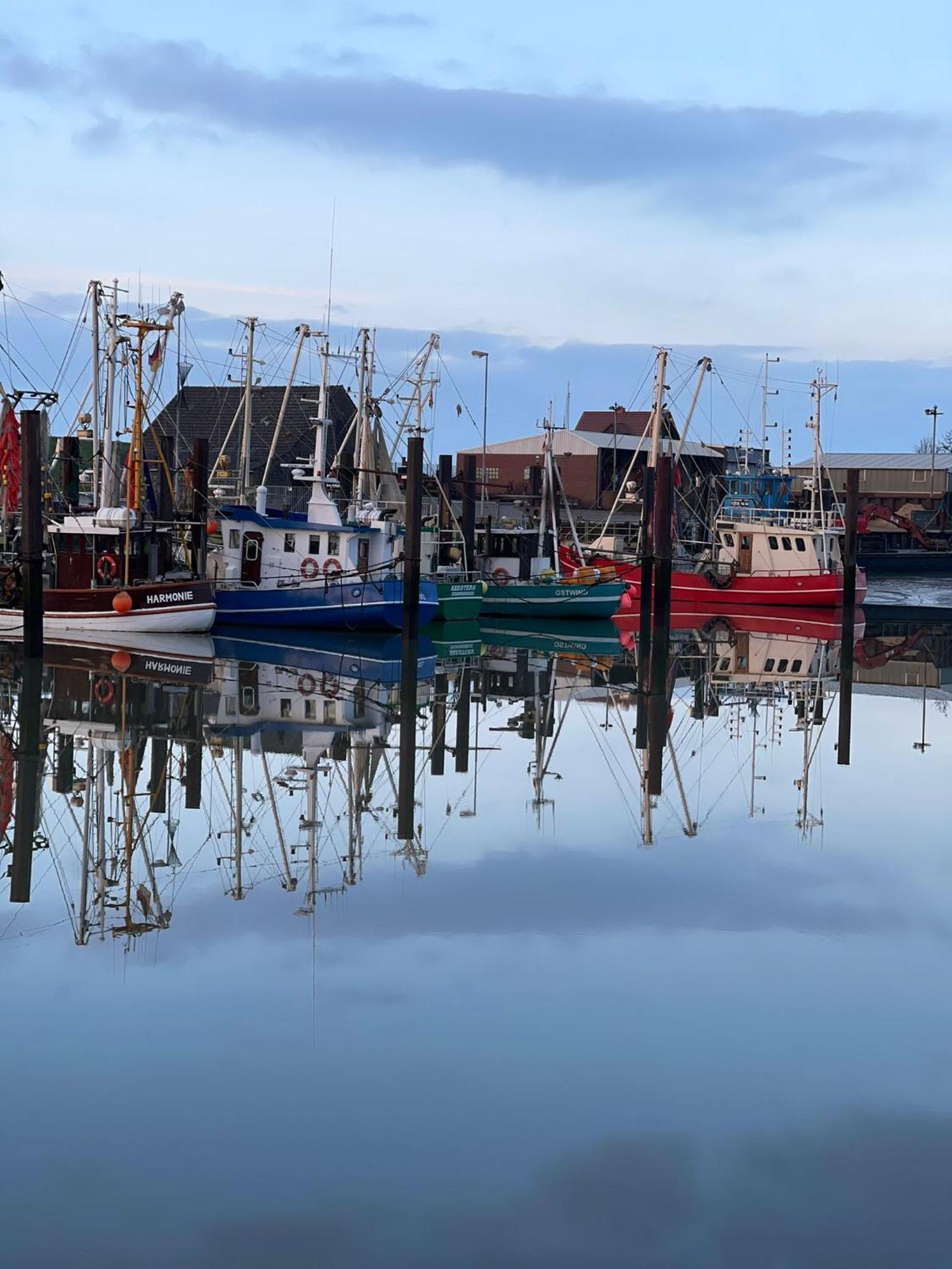 Ferienwohnung Hein Am Nordseedeich Butjadingen Exterior foto